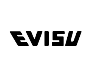 Evisu logo